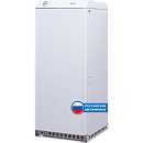 Котел напольный газовый с водяным контуром РГА 11К SG АОГВК 11,6 кВт, автоматика (САБК)